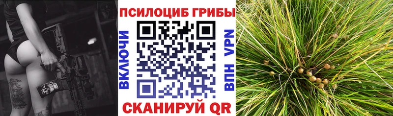 Галлюциногенные грибы Magic Shrooms Певек